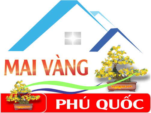 DỊCH VỤ CHĂM SÓC MAI VÀNG - MAI VÀNG PHÚ QUỐC - THỢ CÂY CẢNH - DỊCH VỤ CHĂM SÓC MAI VÀNG TẠI PQ